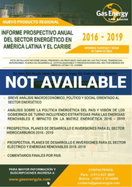 Prospective Energy Report