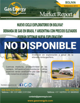 Market Report – Bolivia