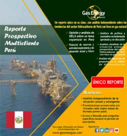 Multicliente Prospectivo Perú