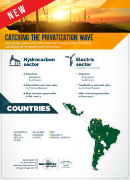 Catching the Privatization Wave