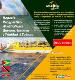 Multicliente Prospectivo Cuenca de Guyana